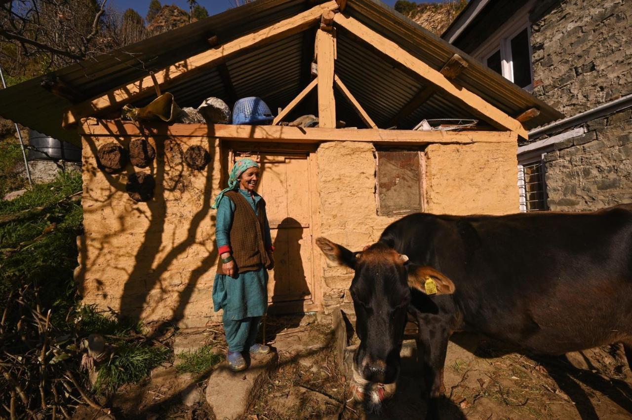 Nagar  Zostel Dobhi, Manaliホステル エクステリア 写真