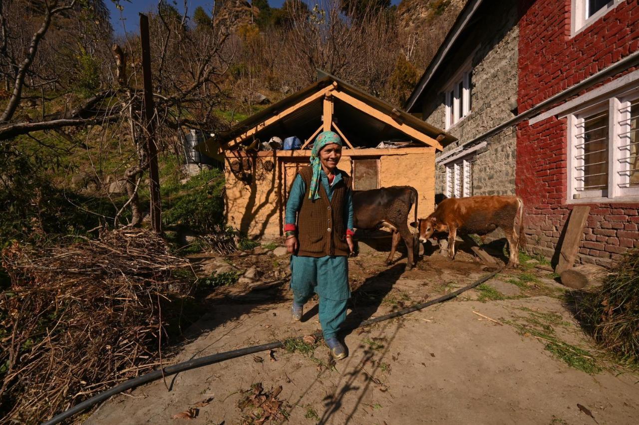 Nagar  Zostel Dobhi, Manaliホステル エクステリア 写真
