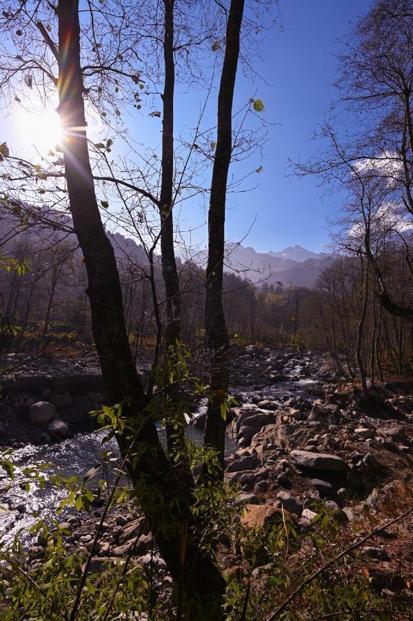Nagar  Zostel Dobhi, Manaliホステル エクステリア 写真