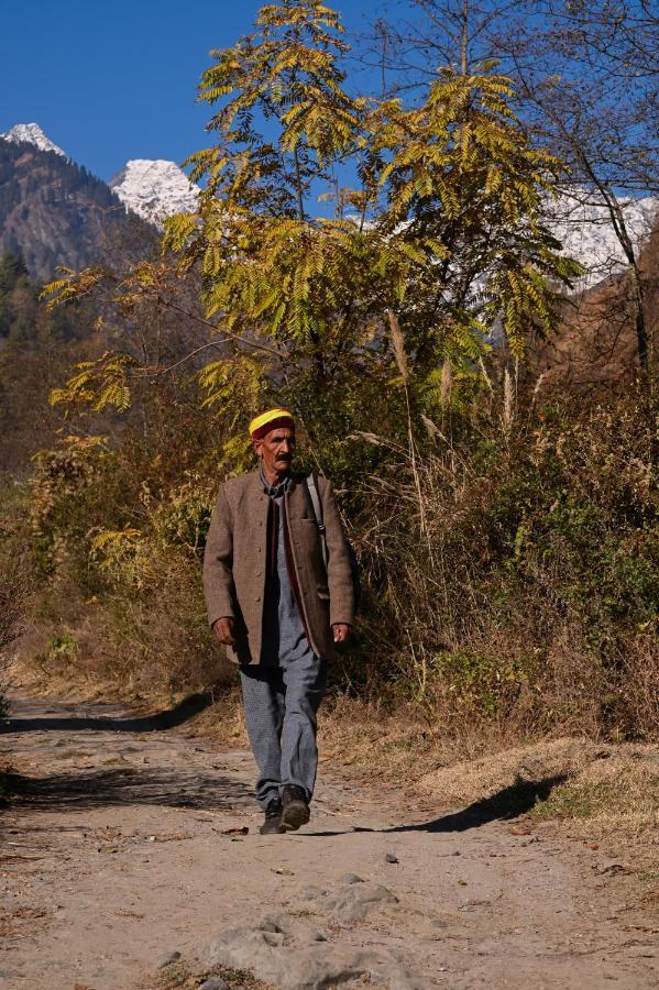 Nagar  Zostel Dobhi, Manaliホステル エクステリア 写真